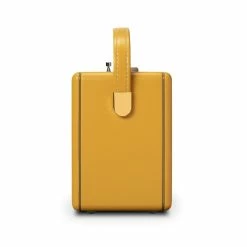 Roberts Radio DAB+ Revival IStream 3L Jaune - Radio DAB+ ⋅ Radio Internet -Lenco Shop unnamed file 1254